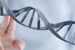 2026年再婚生三胎可以办准生证吗？