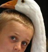 青海试管婴儿医院排名？附西宁试管婴儿费用成功率明细？