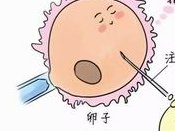 深圳医院做试管生双胎需要多少钱？试管生双胎的成功率是多少？