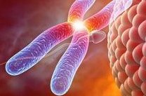 我不想生孩子怎么不孕不育（我不想生孩子是心理有问题吗）