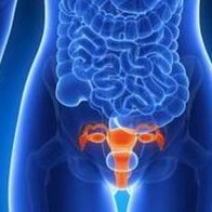 弓形子宫试管移植注意事项，试管弓形子宫移植后能不能同房