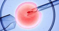 色盲做三代试管能避免遗传吗？色盲遗传概率大不大？