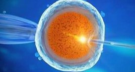 确诊为免疫性不孕能在启东市做试管婴儿吗？做三代试管需要多少钱？