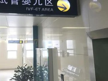 试管囊胚比鲜胚谁更有基因优势？移植胚胎的条件