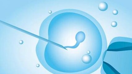 试管初孕期注意哪些饮食？